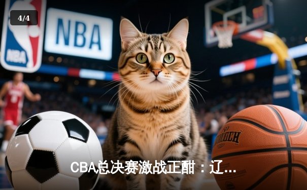 CBA总决赛激战正酣：辽宁男篮加时险胜广东 大比分2-1领先 - 4