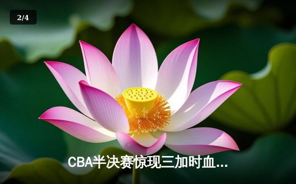 CBA半决赛惊现三加时血战 辽宁本钢157-155险胜广东宏远创季后赛得分纪录 - 2