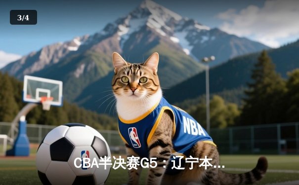 CBA半决赛G5：辽宁本钢加时逆转广东宏远 赵继伟33分率队挺进总决赛 - 3